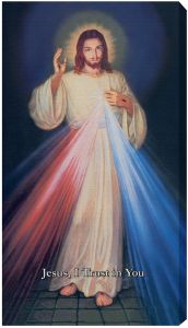 Hyla Divine Mercy canvas 10x18