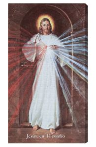 Skemp Divine Mercy 10 x 18 Canvas Print