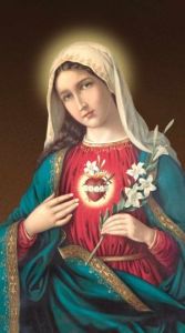 Immaculate Heart of Mary 10" x 18" Canvas Print 